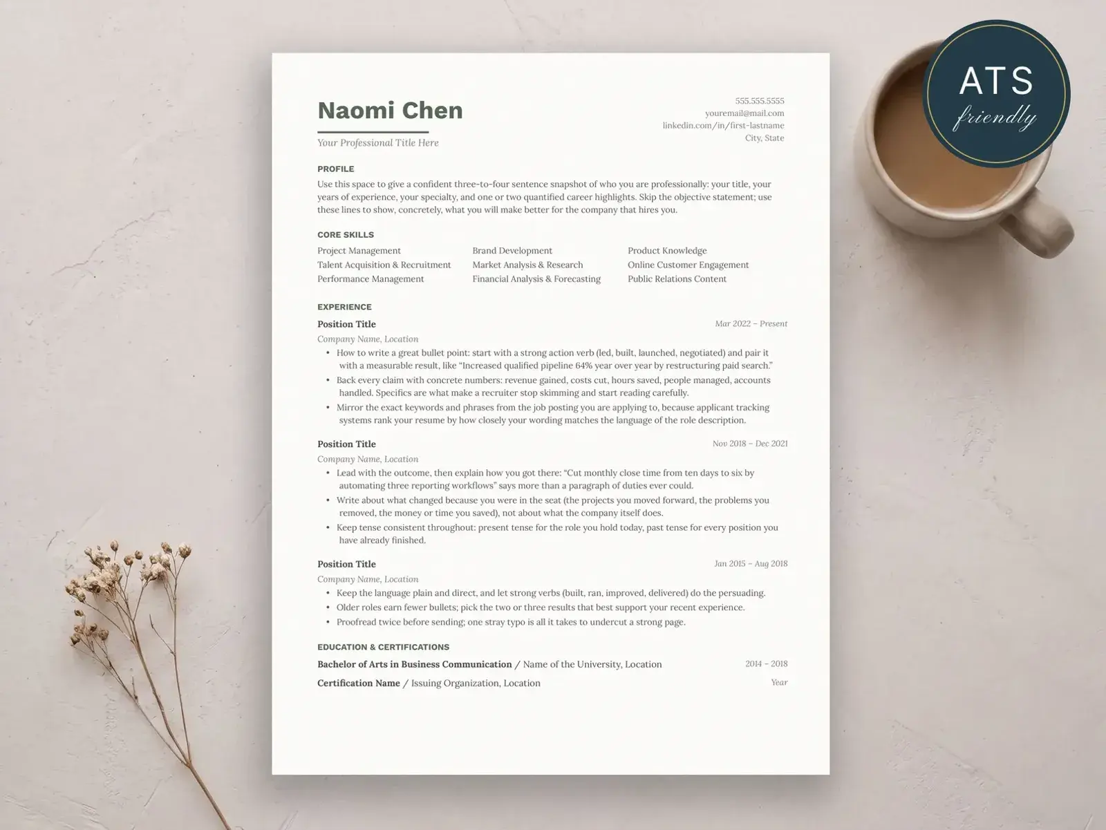 Clean Resume Template for Google Docs, Word & Pages | The Sage preview